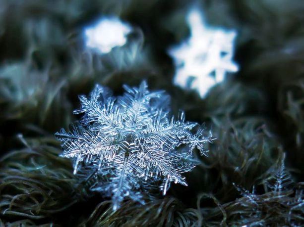 snowflake-closeup-alexey-kljatov-14